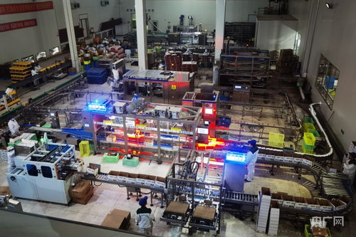 光影定格高原情 青海牛奶的影像故事与摄影扩印服务